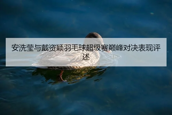 安洗莹与戴资颖羽毛球超级赛巅峰对决表现评述（lanboesports）
